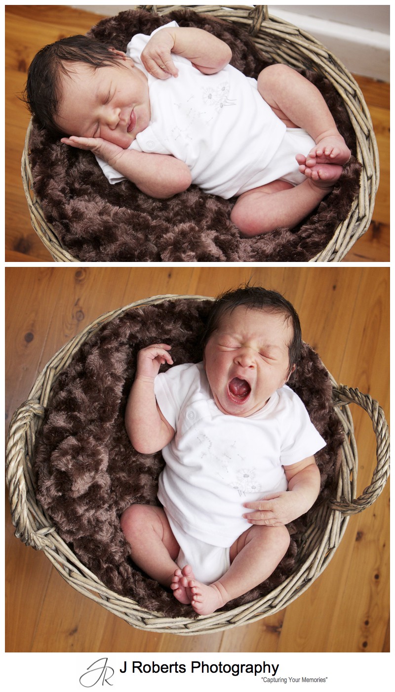 Newborn baby portraits in wicker basket - newborn baby portrait photography sydney